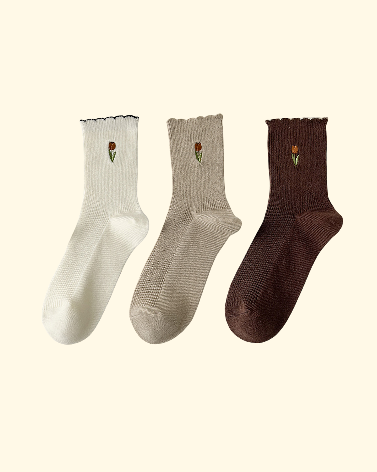 tulip bloom tulip bloom