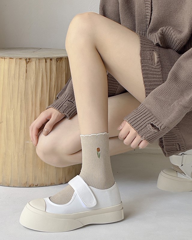 tulip bloom tulip bloom