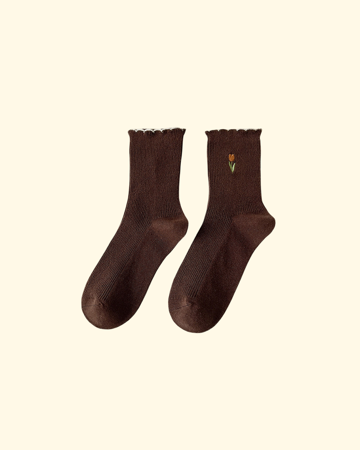 tulip bloom tulip bloom