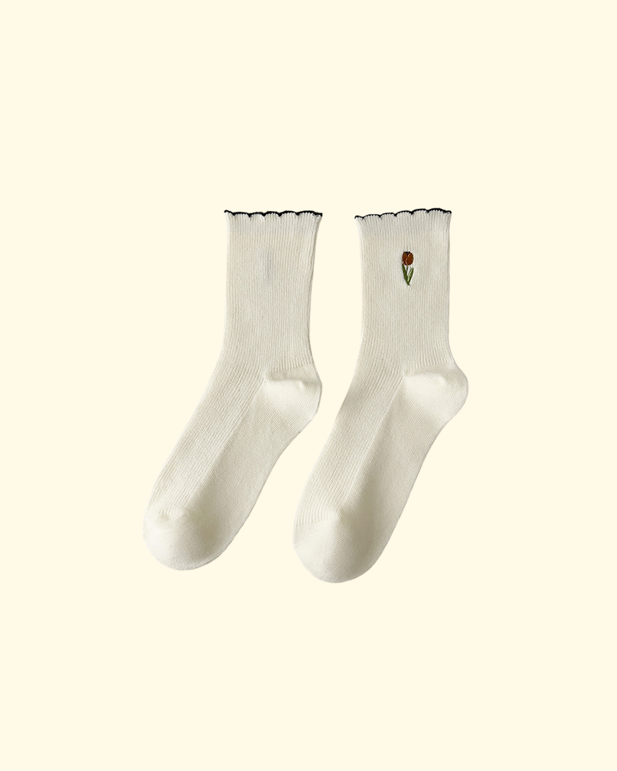 tulip bloom tulip bloom